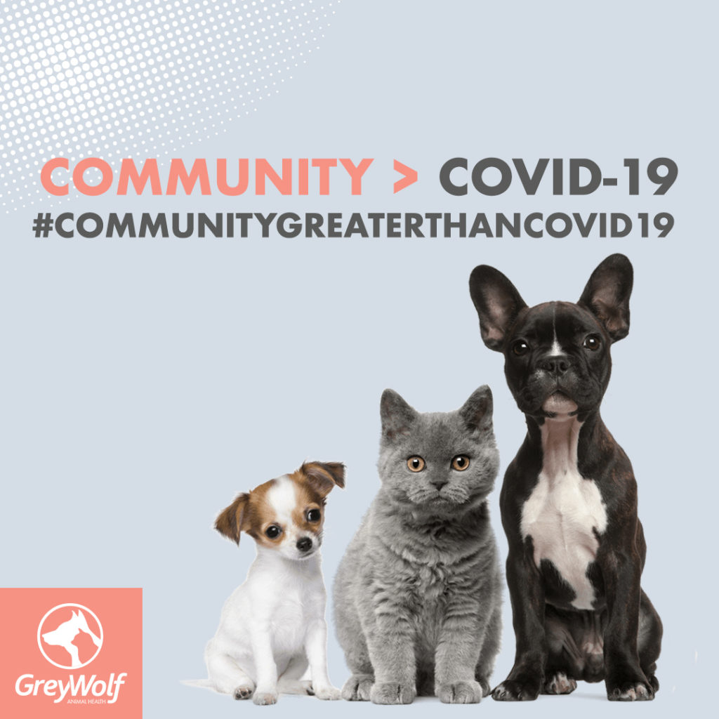 Greywolf community greater than covid 19