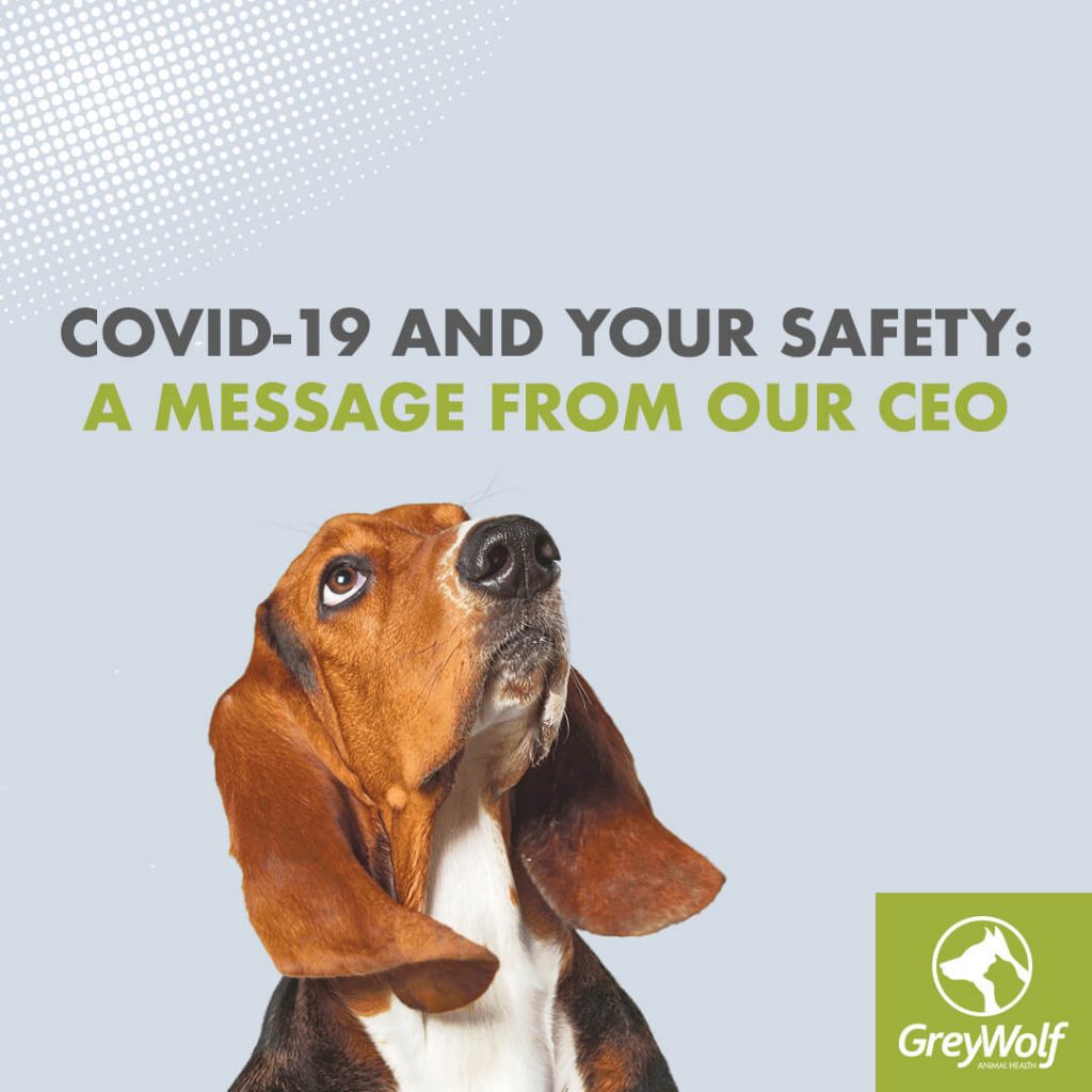 Grey Wolf Supporting Clinics During COVID19 Grey Wolf Animal Health