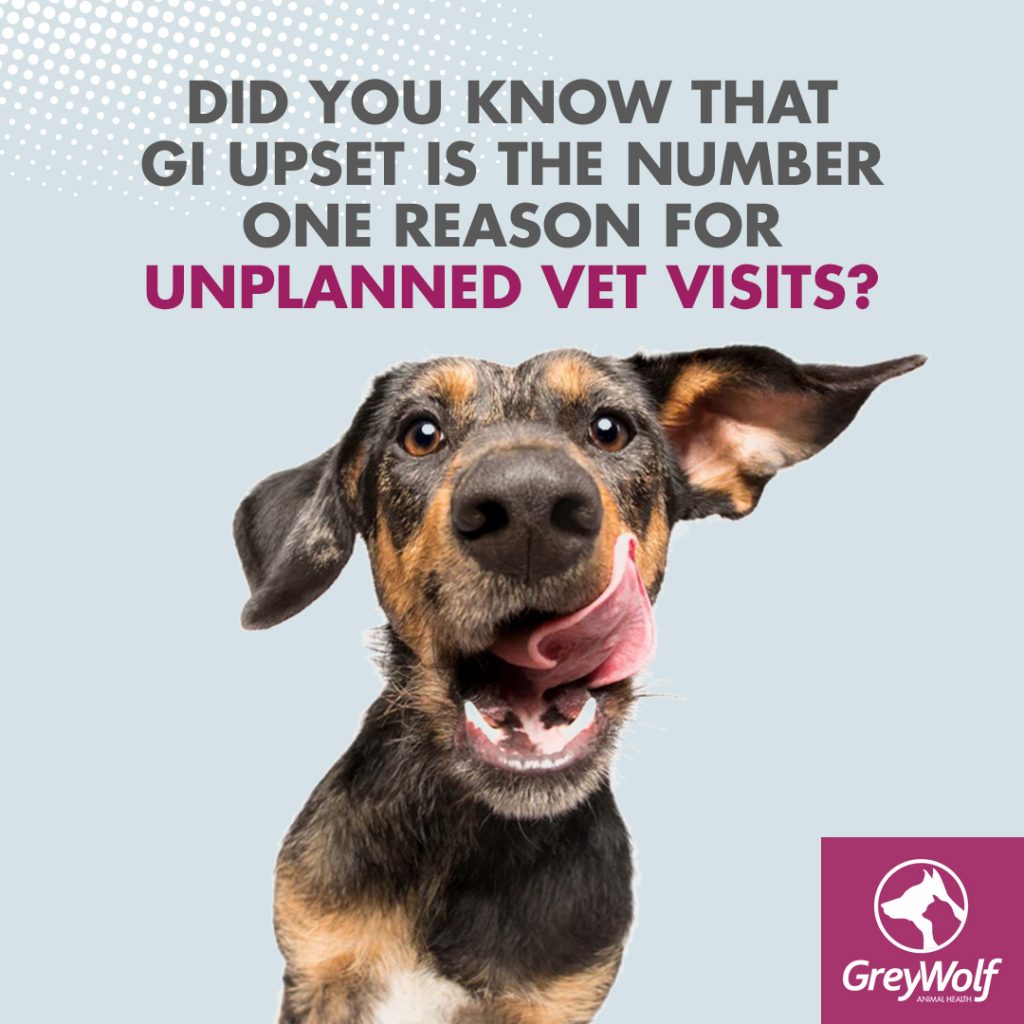 Greywolf logo did you know that gi upset is the number one reason for unplanned vet visits