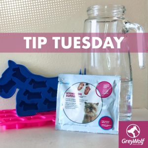 tip-tuesday-hydration-support